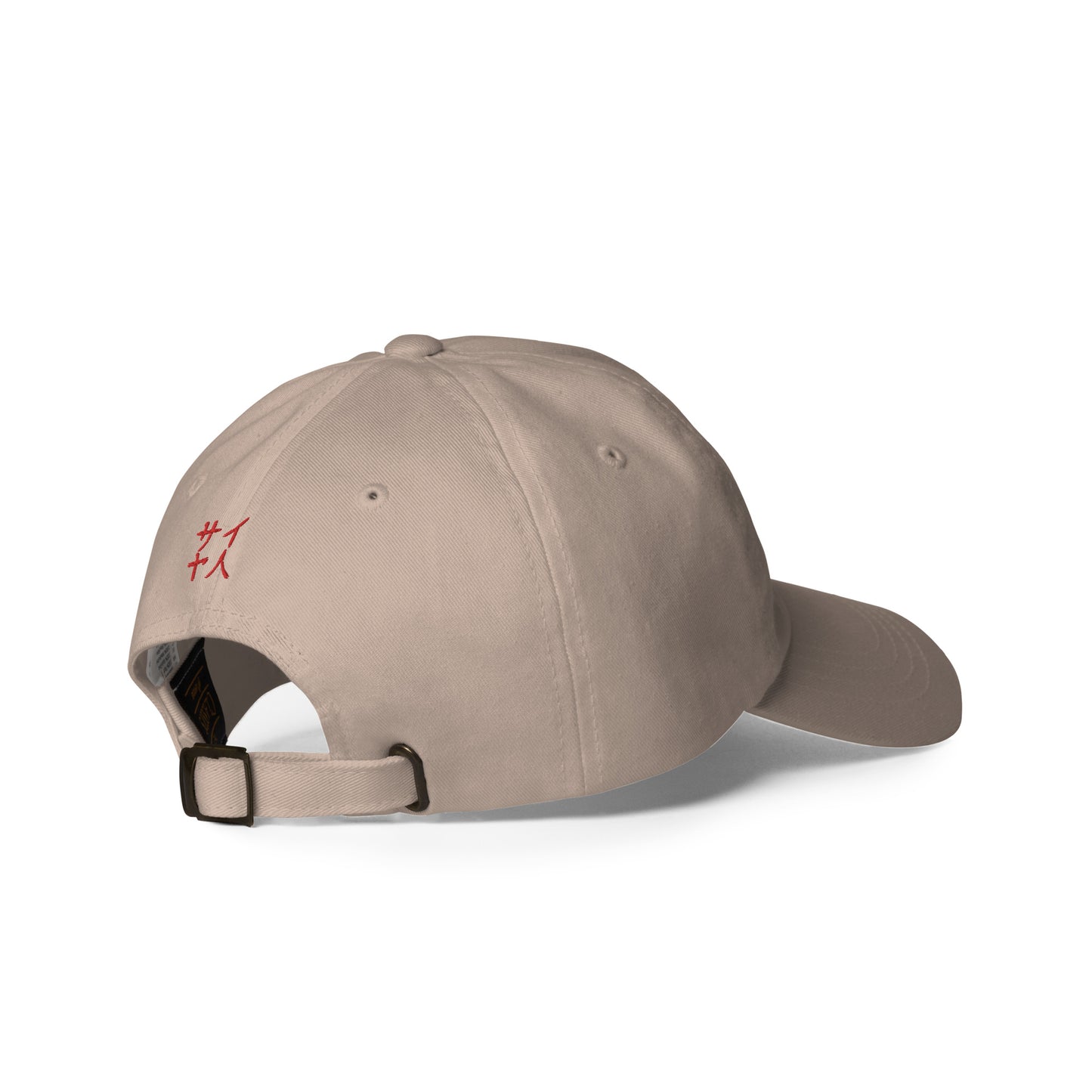 Capsule 6 - Dad hat
